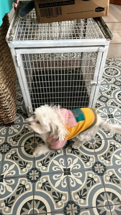 Jaula metálica para mascotas - miniatura 1