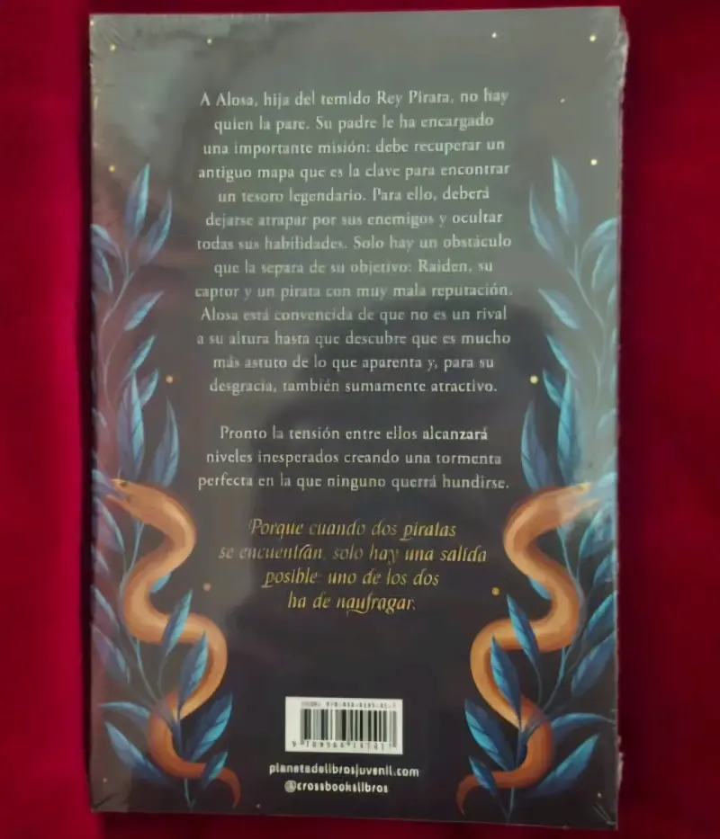 Libro 'La Hija del Rey Pirata' - 2