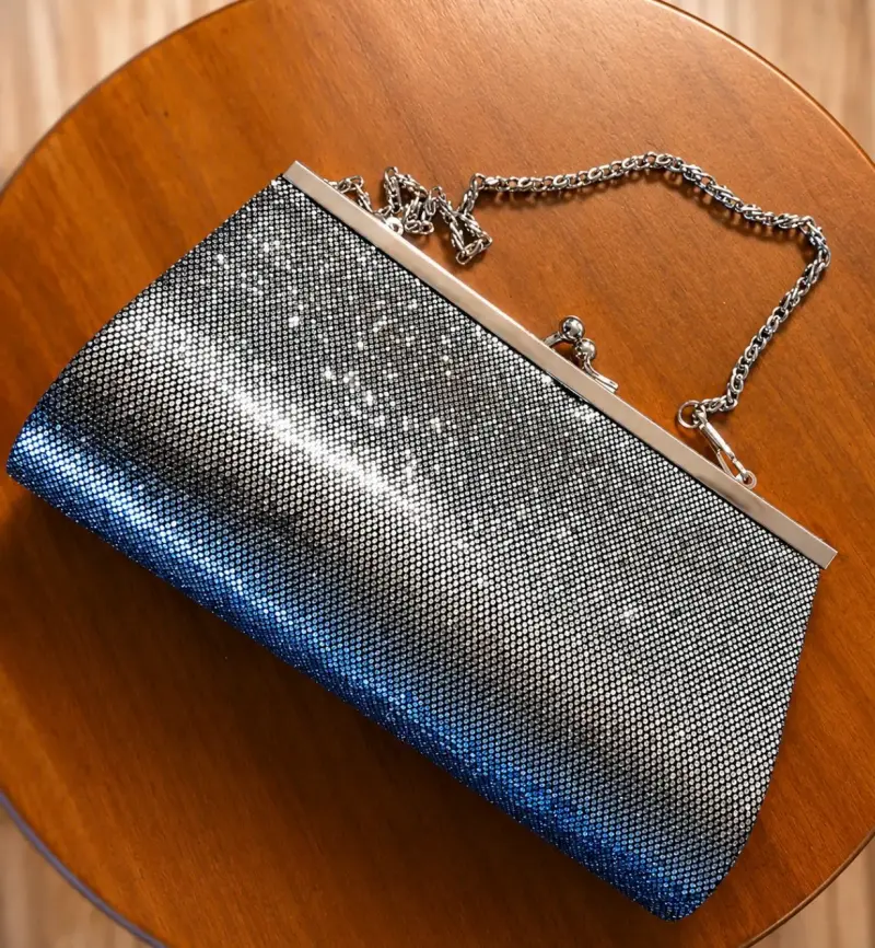 Cartera metálica plateada - 2