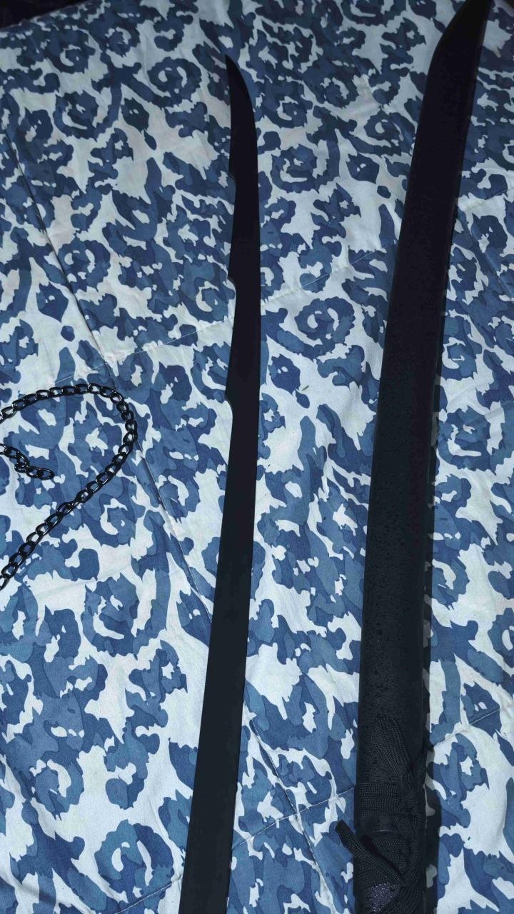 Espada katana (Tensa Zangetsu) - 2