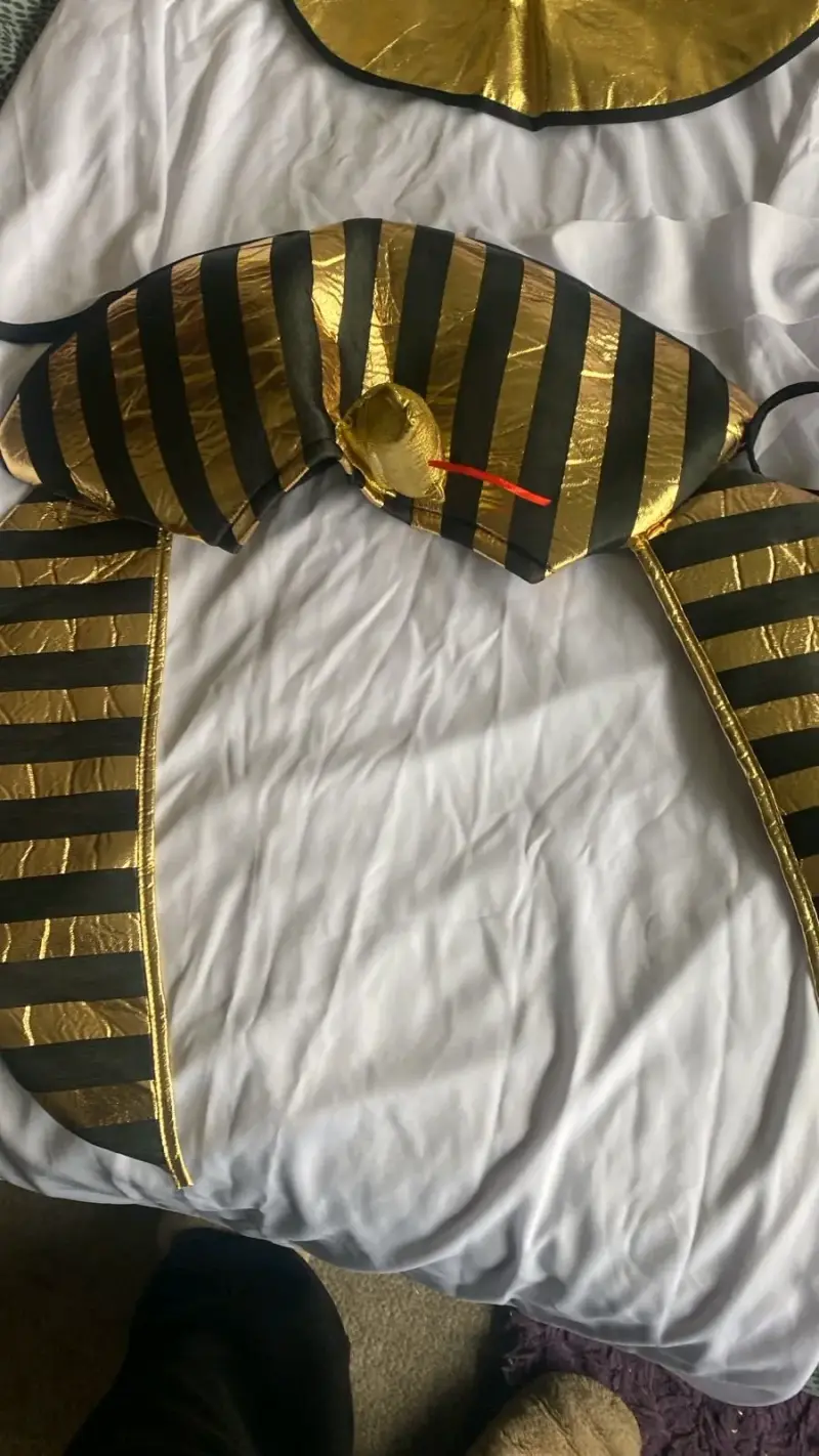 Disfraz Egipcio con Detalles Dorados - 6