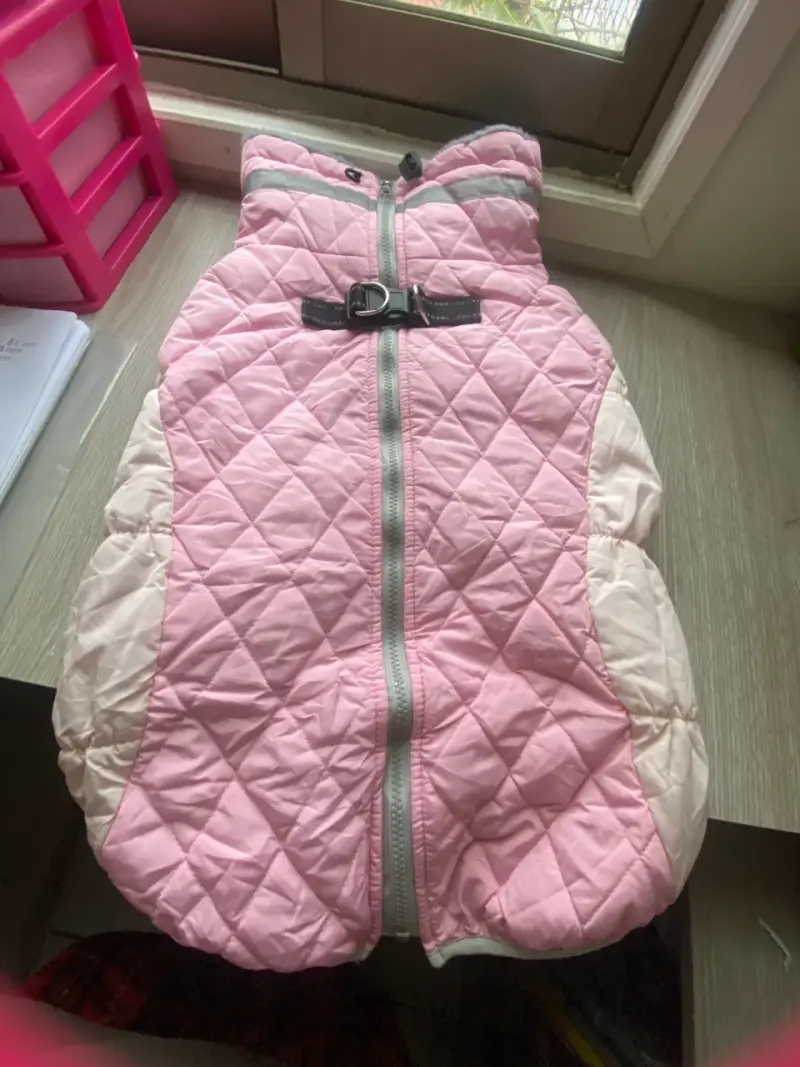 Ropa para mascotas - 1