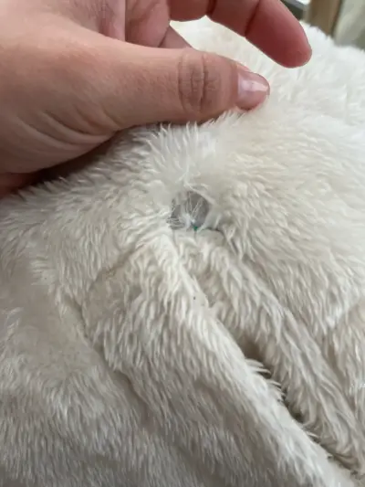 Chaqueta peluda blanca con cierre - miniatura 2
