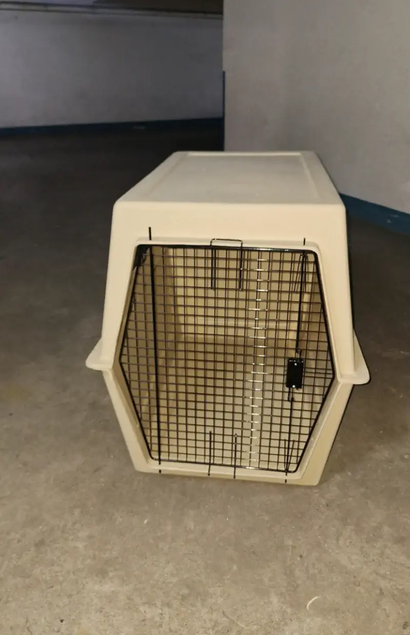 Transportadora para perros tamaño XL - 2