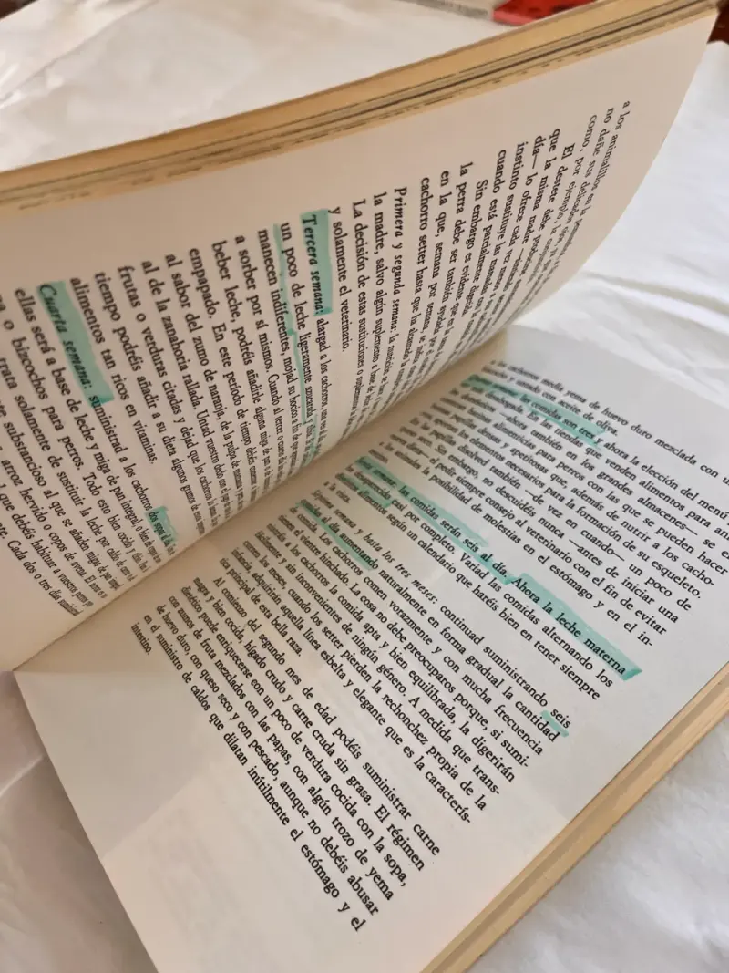 Libro 'Los Setter' de Marina Roberti - 4
