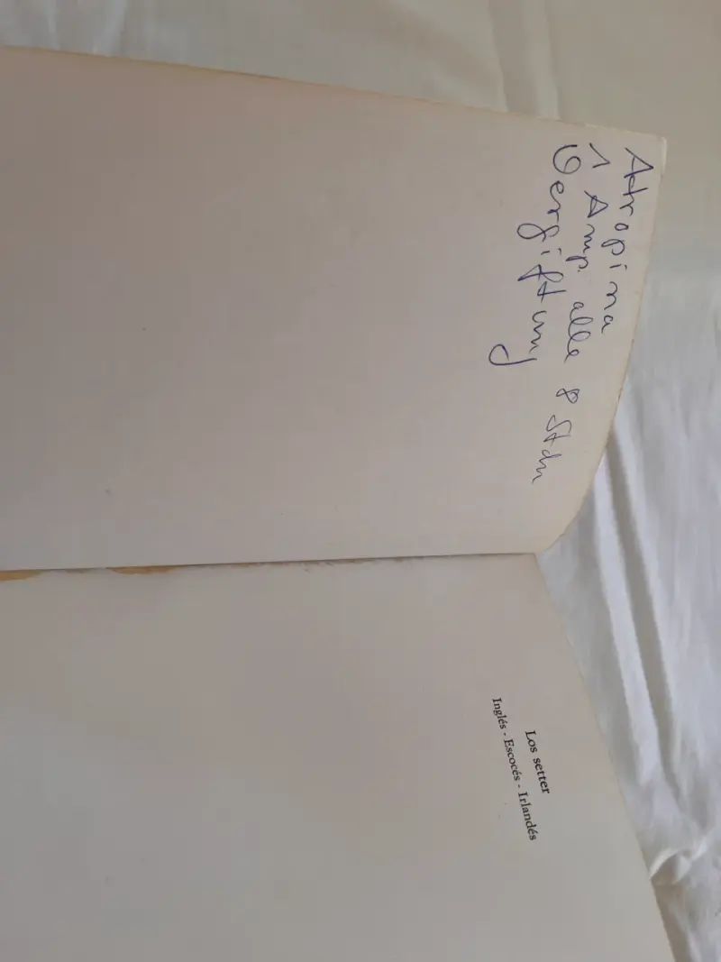 Libro 'Los Setter' de Marina Roberti - 6