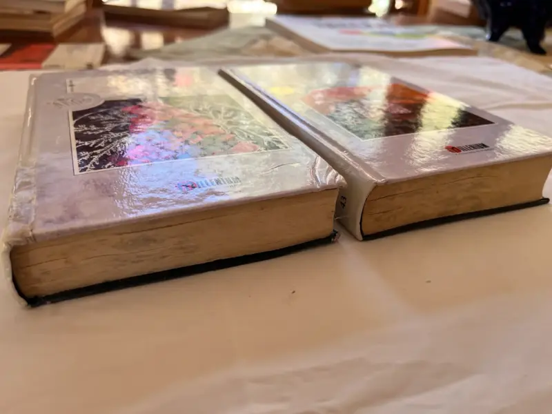 Pack 2 Tomos: La Montaña Mágica - Thomas Mann - 2