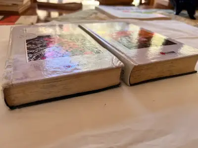 Pack 2 Tomos: La Montaña Mágica - Thomas Mann - miniatura 2