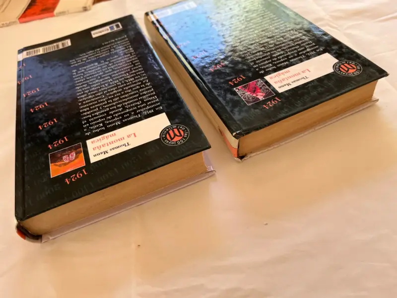 Pack 2 Tomos: La Montaña Mágica - Thomas Mann - 4