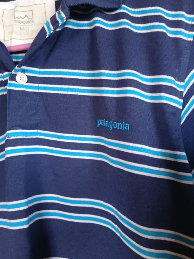 Polera polo rayada azul Patagonia - 2