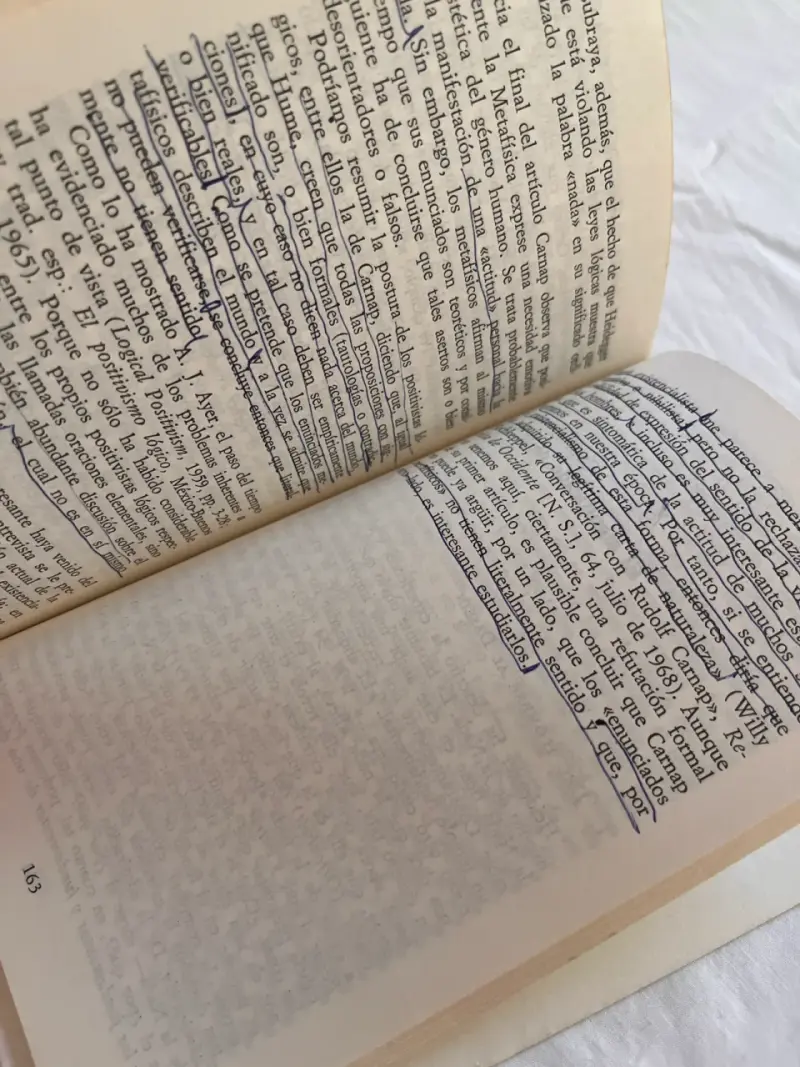 Libro 'Heidegger: su filosofía a través de la nada' - 5