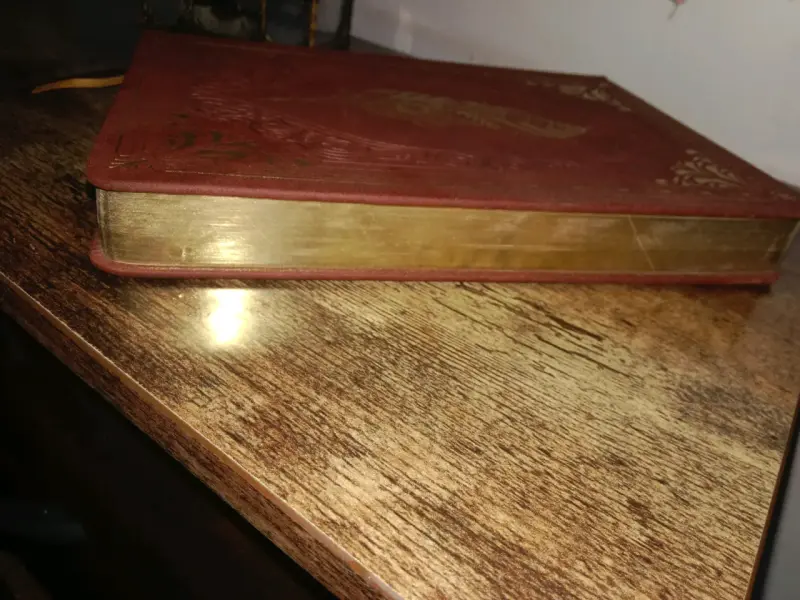 Cuaderno vintage con diseño de pluma - 2