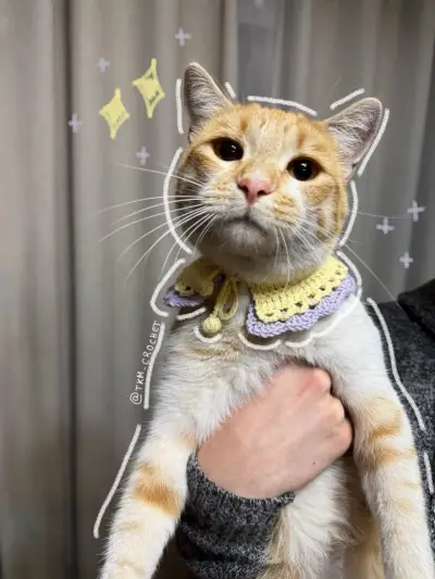 Cuello tejido para gato - miniatura 1