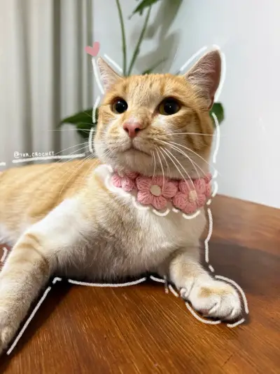 Cuello flores tejidas gato - miniatura 1