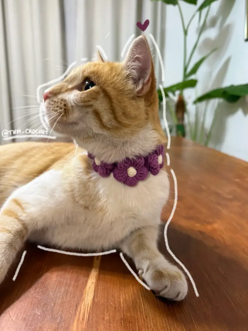 Cuello flores tejidas gato - 3