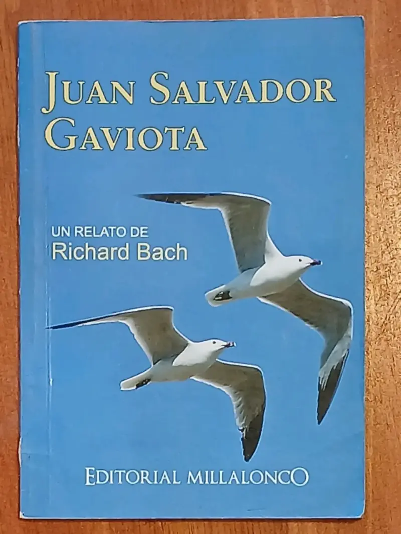 Libro Juan Salvador Gaviota
