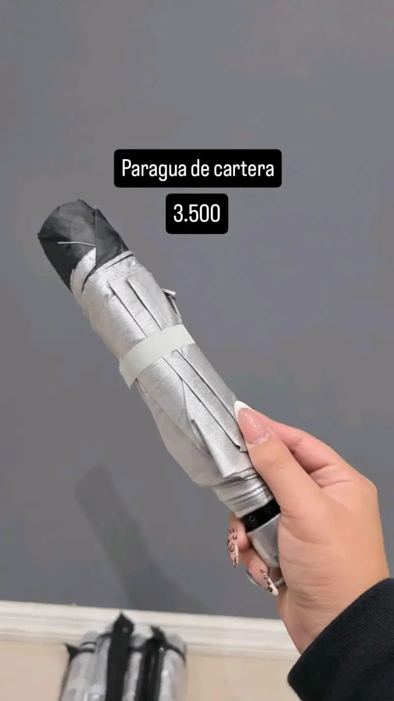 Paraguas de cartera plateado