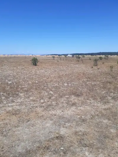 Vendo parcela en litueche 5000mts2 - miniatura 4