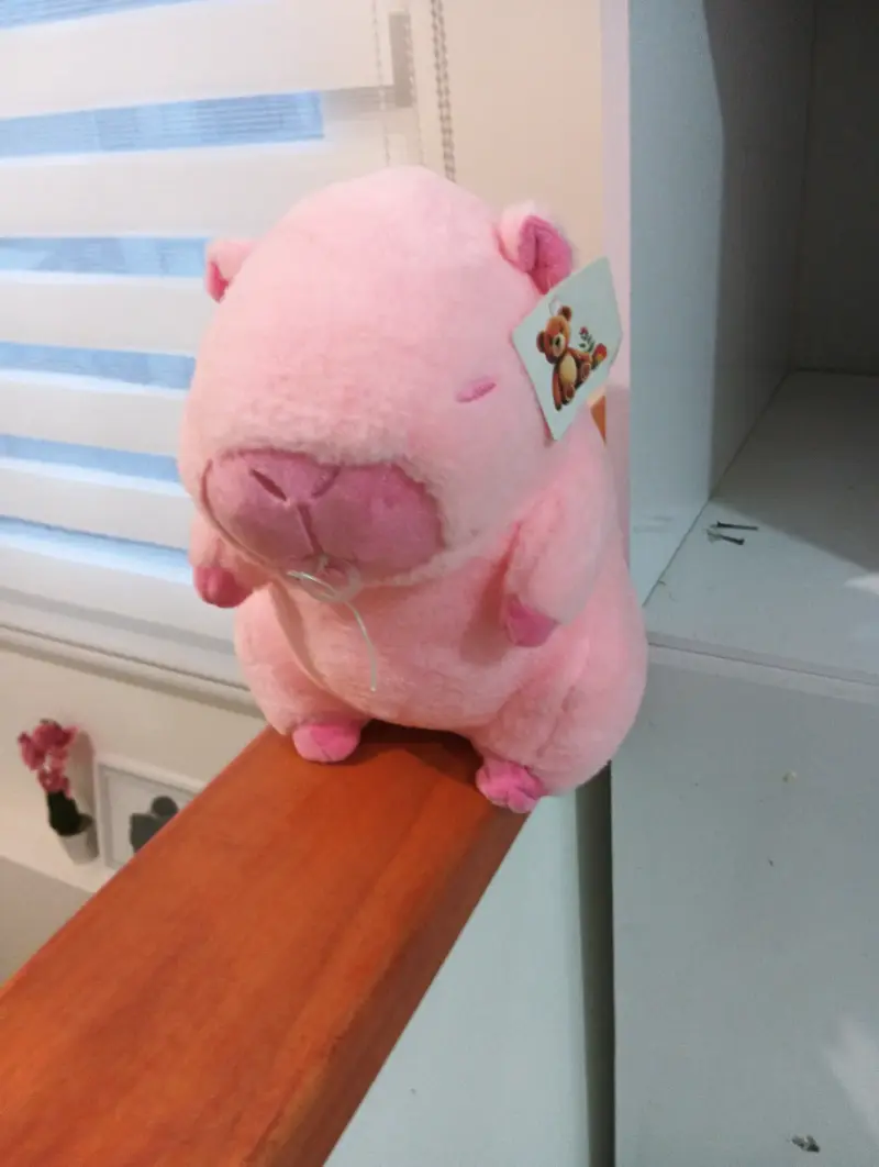 Peluche rosado encantador