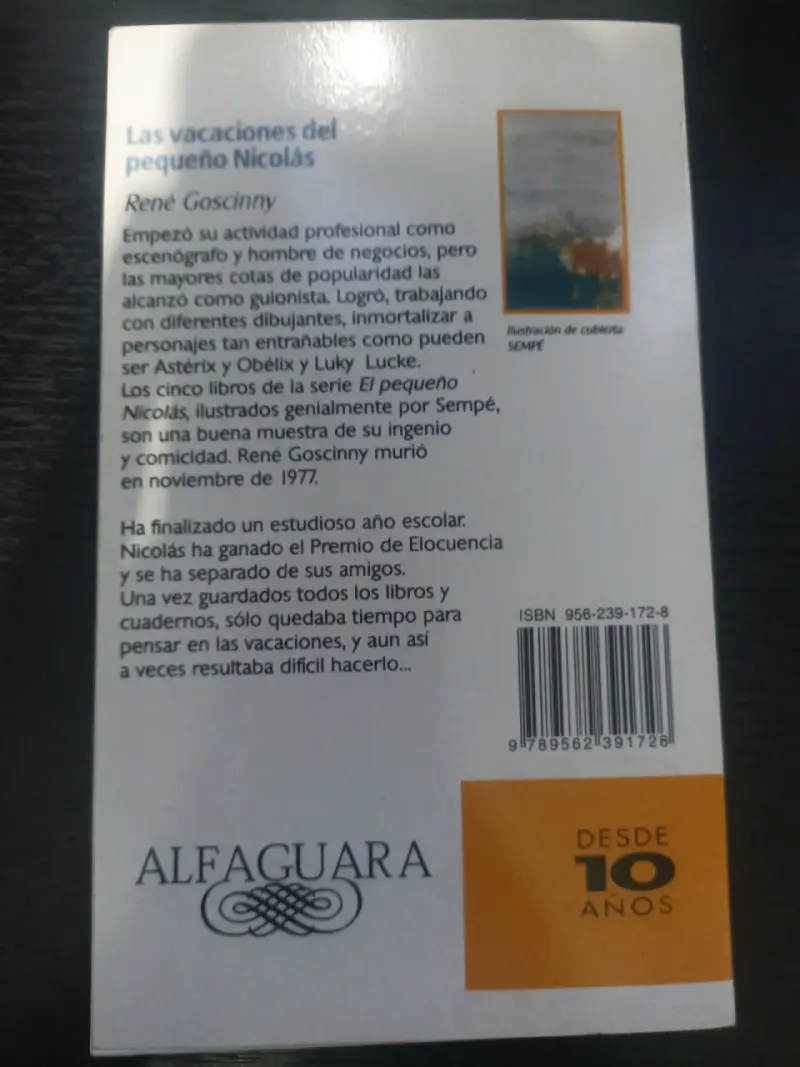 Libro Las vacaciones del pequeño Nicolás - 2
