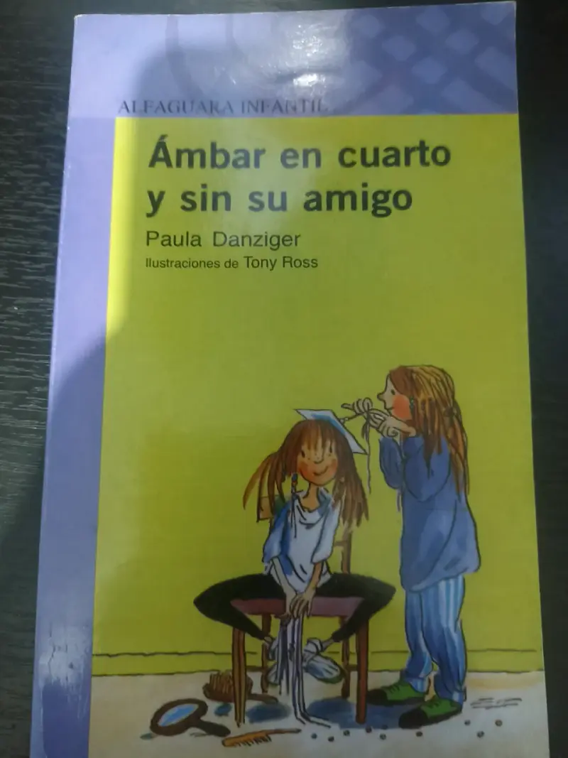 Libro Ámbar en cuarto - 1