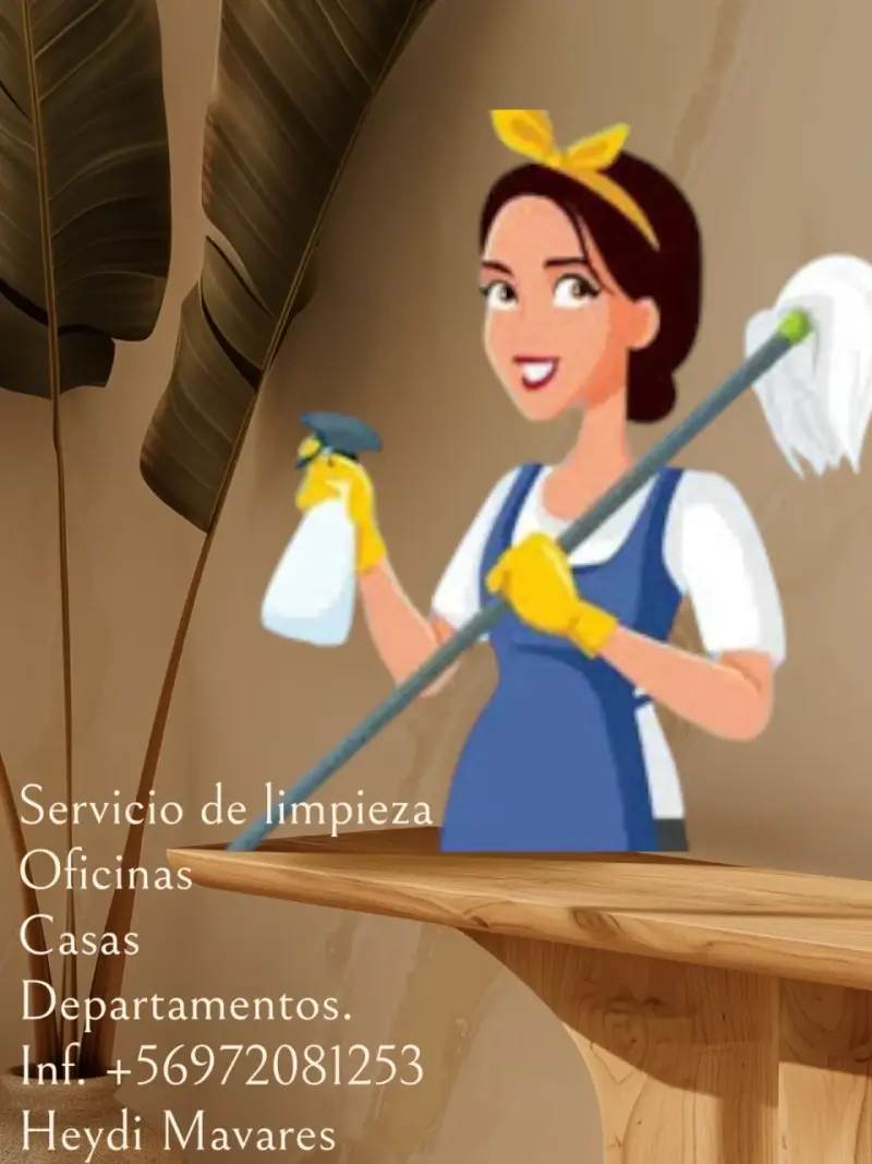 Servicio de limpieza - 4