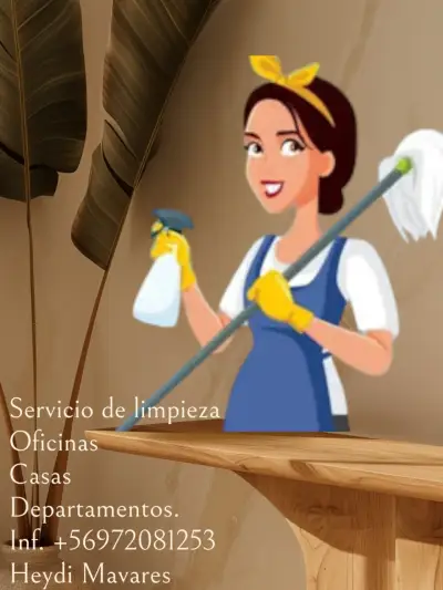 Servicio de limpieza - miniatura 4