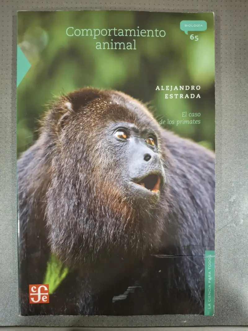 Libros - 2