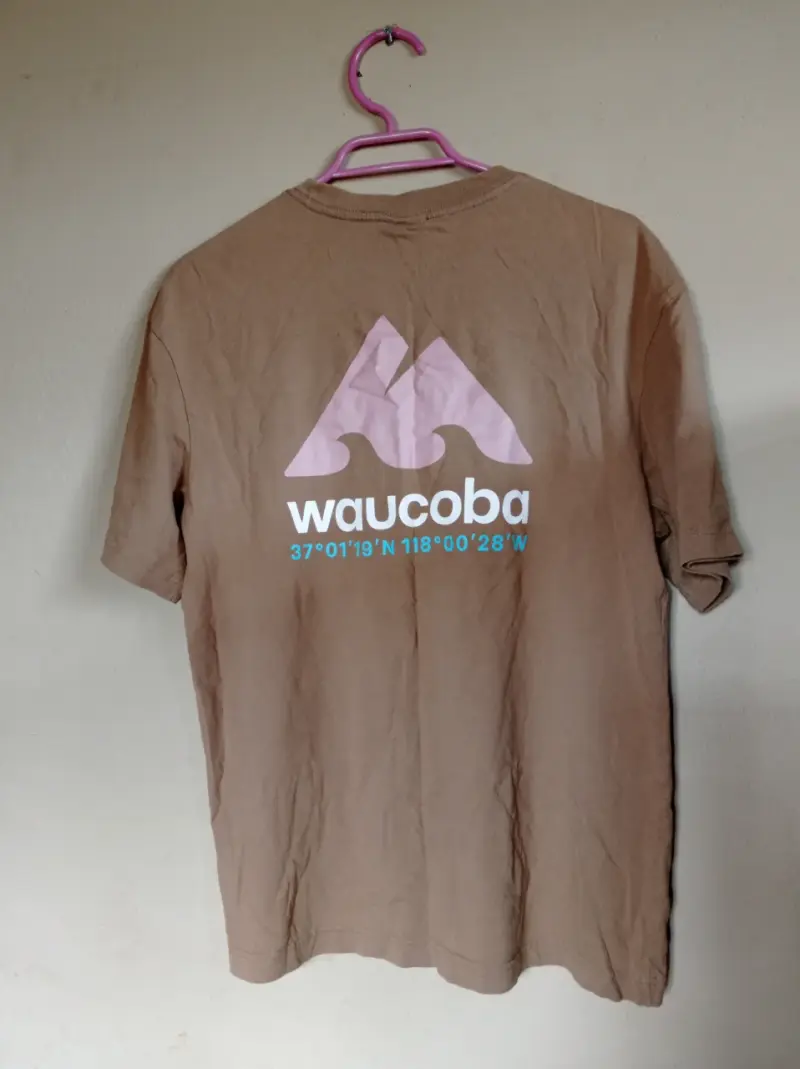 Polera marrón Waucoba - 2
