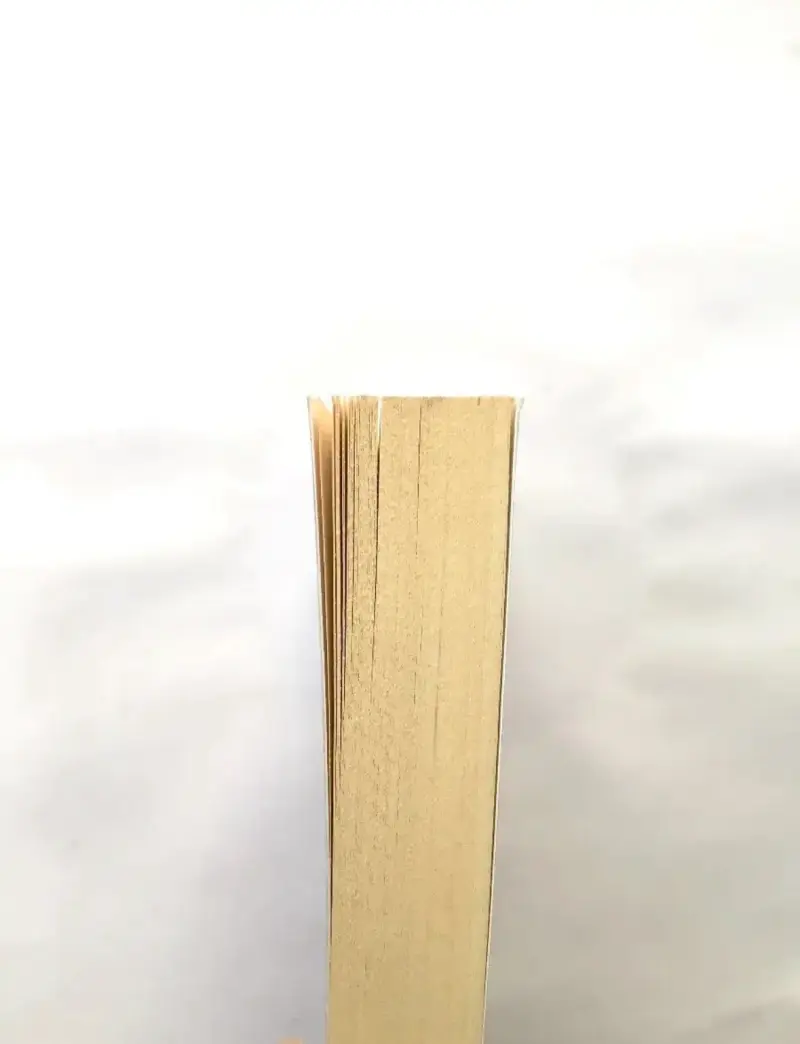 Libro 'La Eneida' de Virgilio - 3