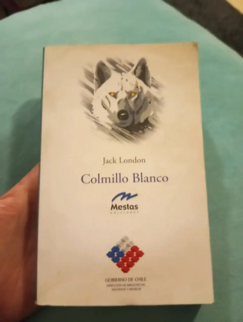Libro Colmillo Blanco - Jack London (Clásico Juven - 1