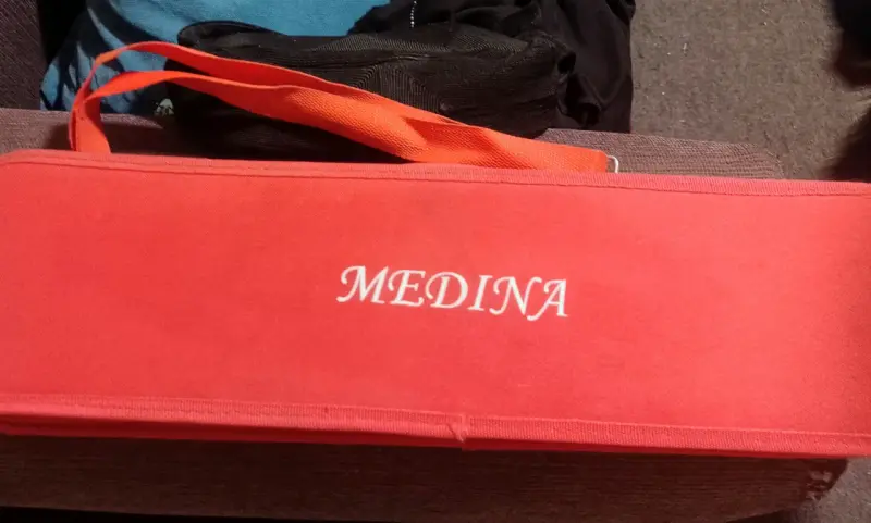 Melódica Marca MEDINA con estuche - 2