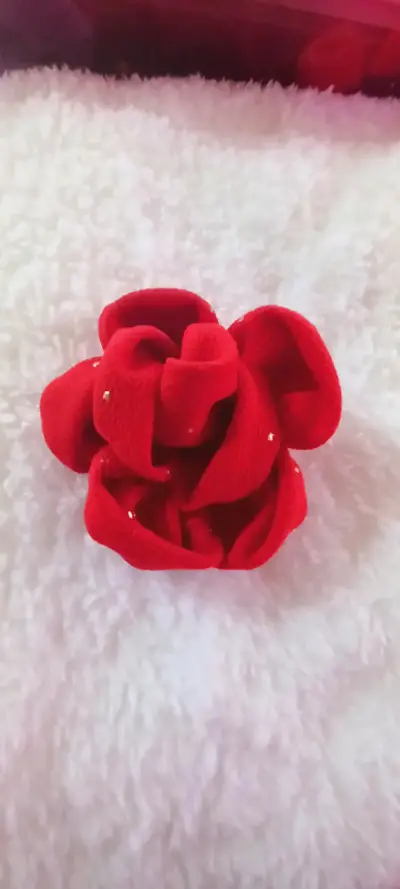 Trabas para el pelo - miniatura 2
