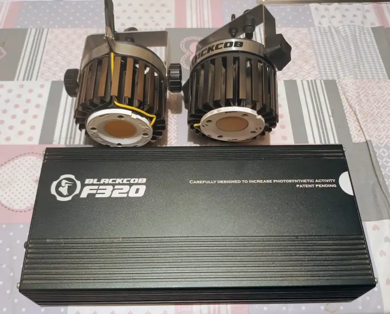 Luces LED Blackcob F320