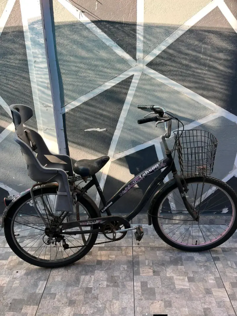 Bicicleta con silla para bebé