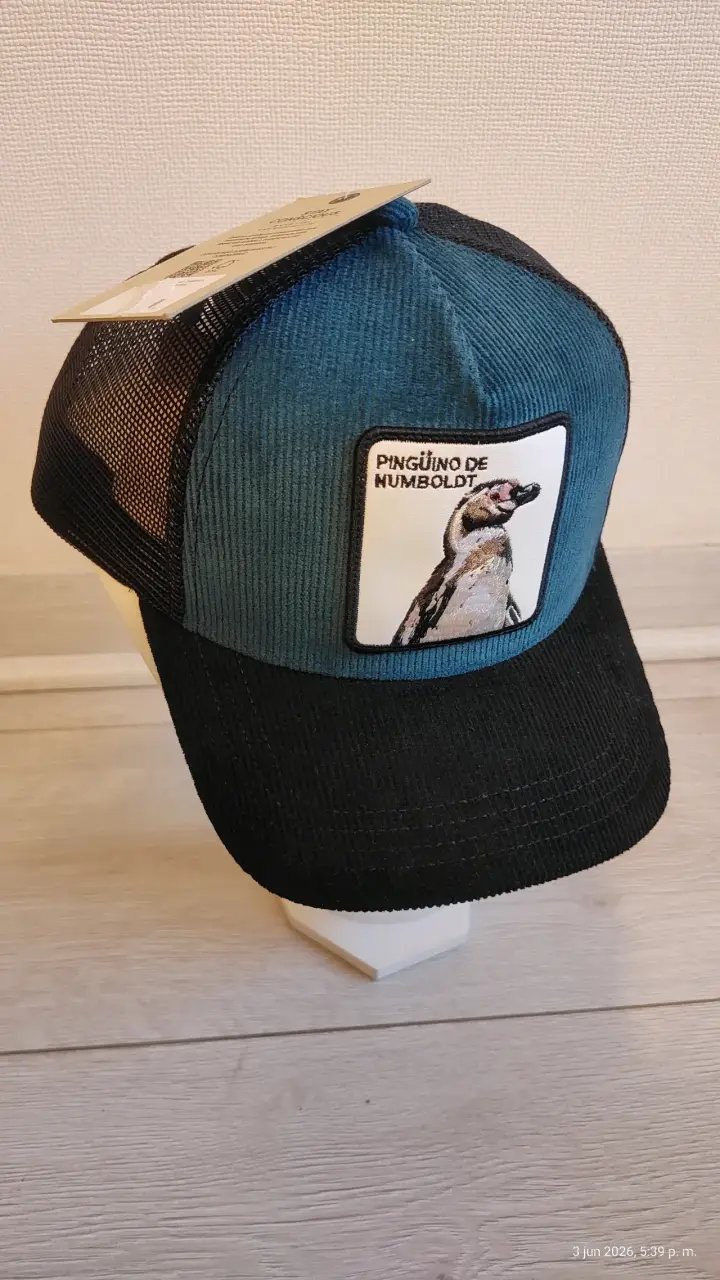 Gorra Pingüino de Humboldt - 2