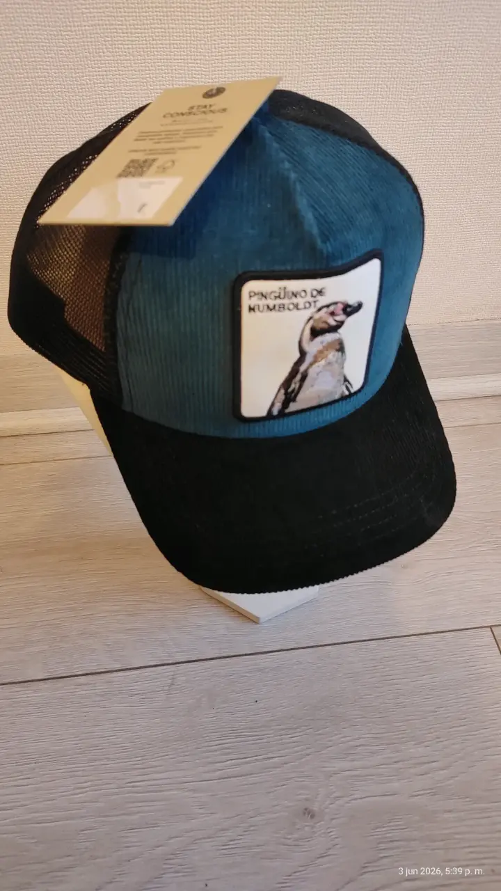 Gorra Pingüino de Humboldt - 3