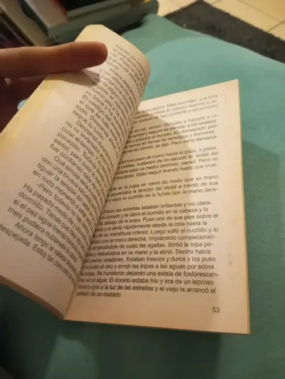 Libro El Viejo Y El Mar - Ernest Hemingway (Plan L - miniatura 3