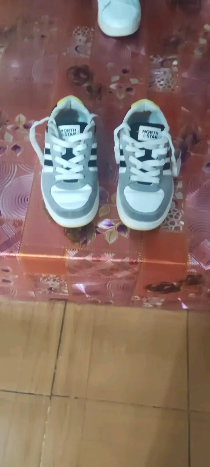 Zapatillas North Star gris claro - 1