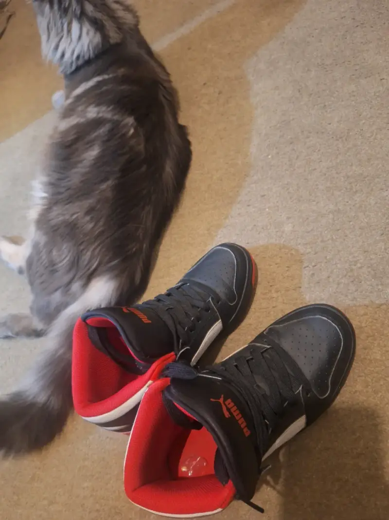 Zapatillas Puma negras y rojas - 2