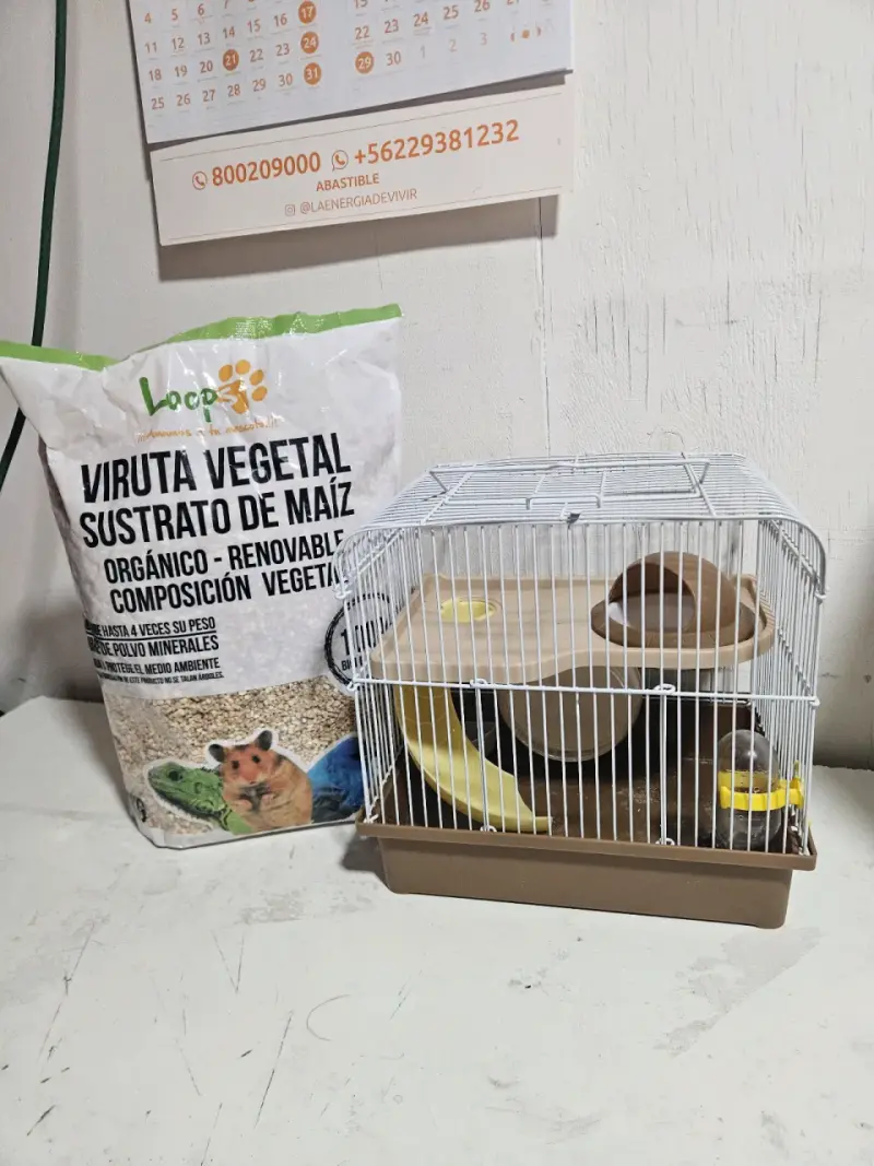 Jaula y viruta para roedores