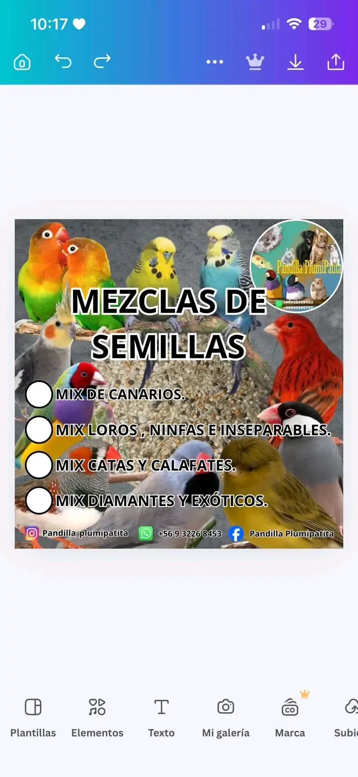 Alimento para loros, ninfas e inseparables - 1