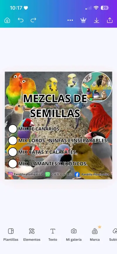 Alimento para loros, ninfas e inseparables - miniatura 1