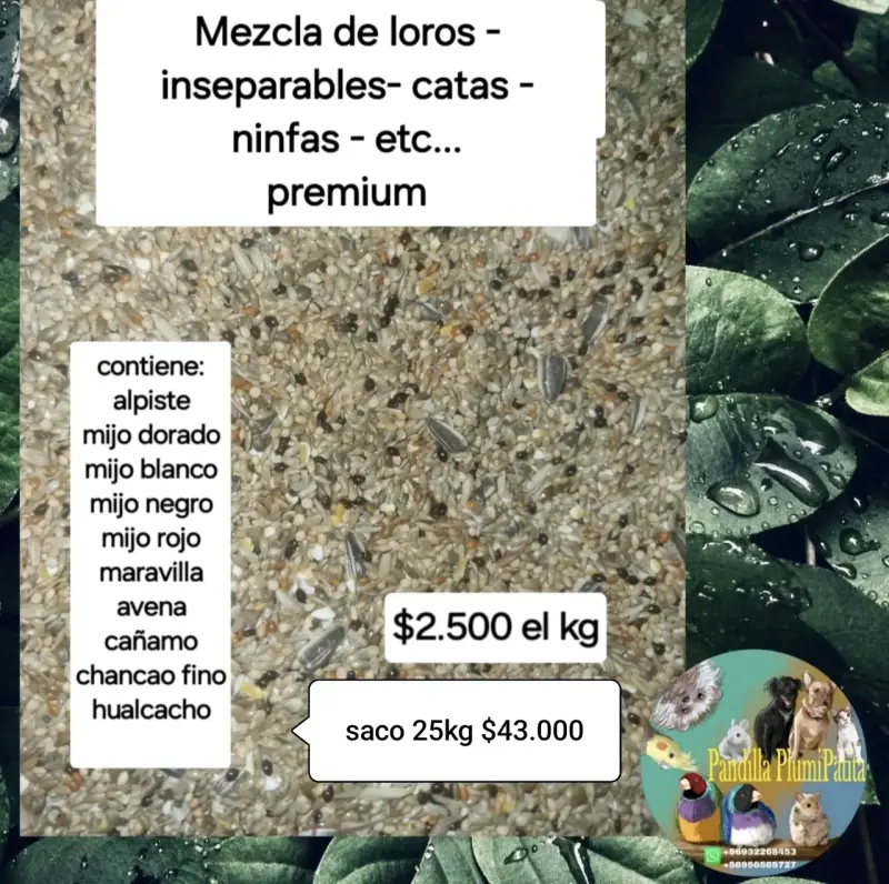 Alimento para loros, ninfas e inseparables - 2