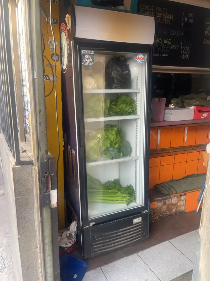 Refrigerador vertical comercial - 1
