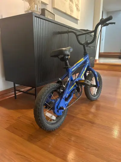 Bicicleta infantil azul FUJI - miniatura 4