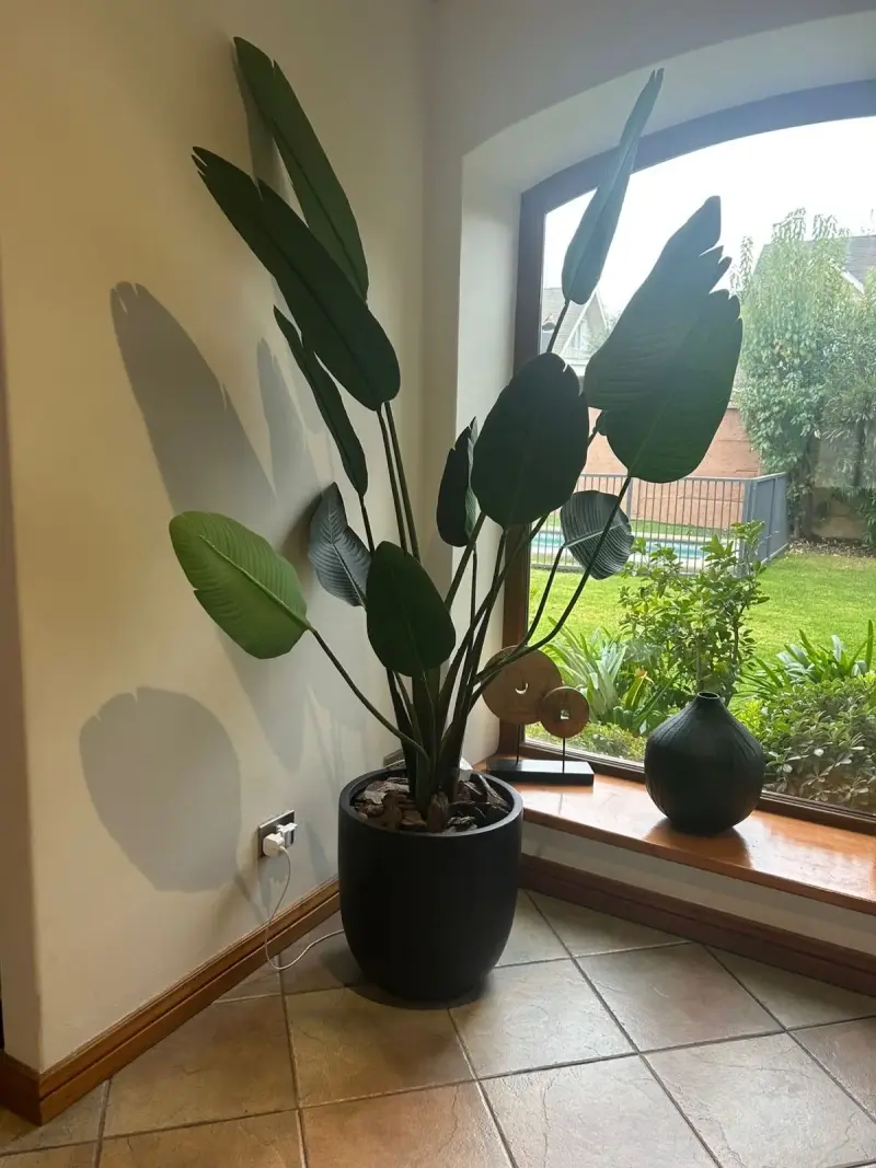 Planta decorativa interior con maceta - 2