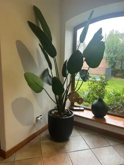 Planta decorativa interior con maceta - miniatura 2
