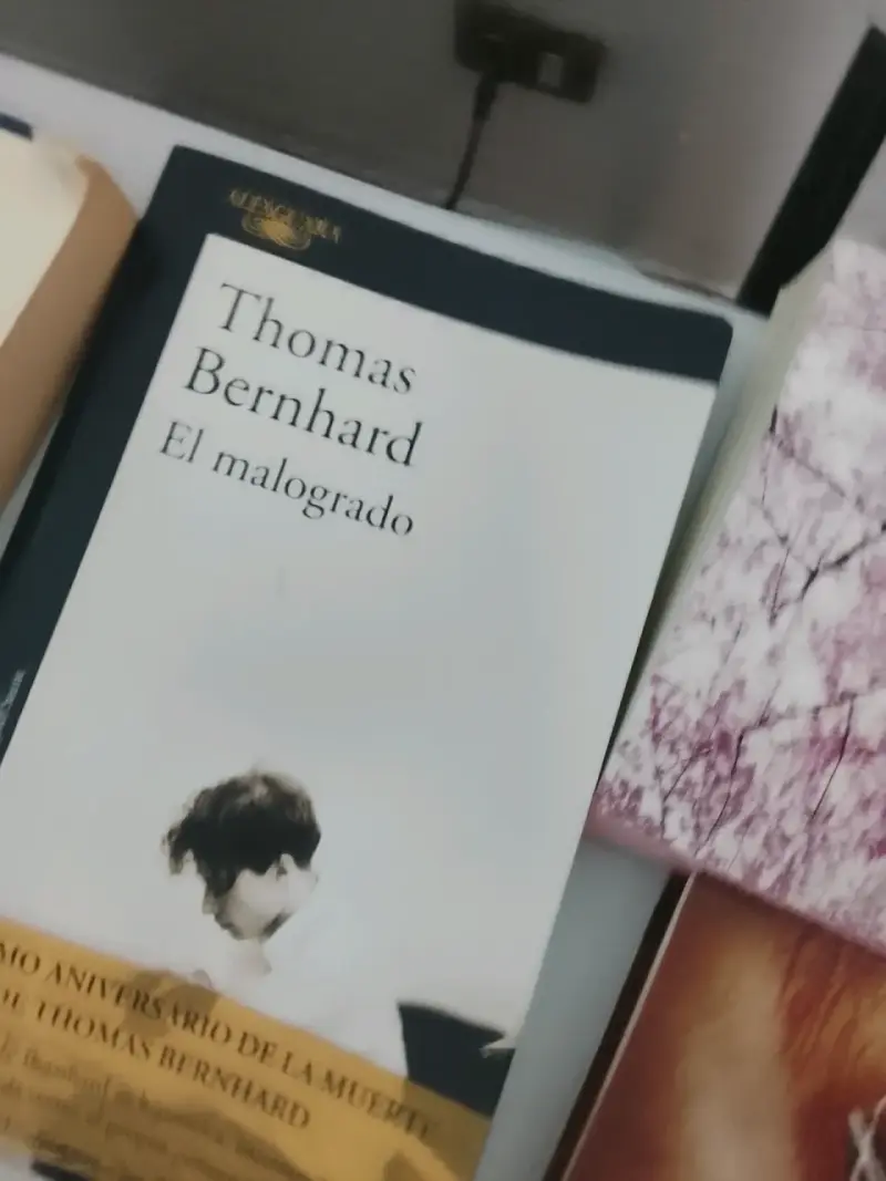 Libro 'La reina en el palacio' - 6