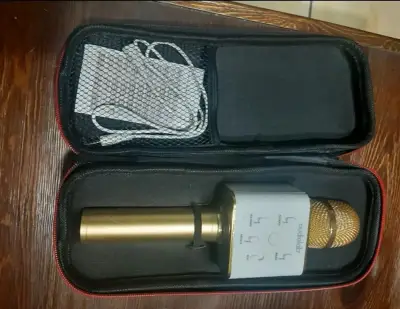 Micrófono karaoke dorado con estuche - miniatura 1